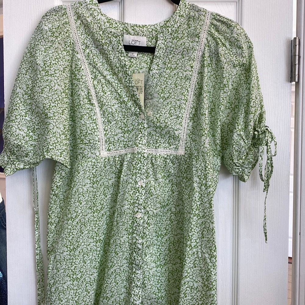 Anne Taylor Loft top. NWT green and off white.